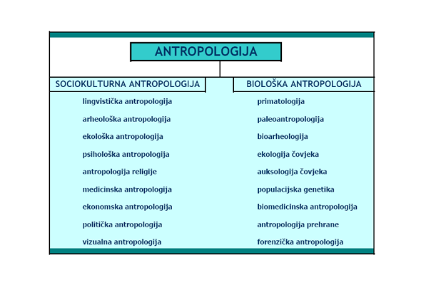 Potpodručja antropologije